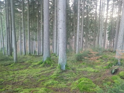 Apartment 4-Bett-Ferienhaus Köln, Bad/WC - Features photo 70