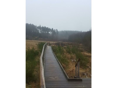 Apartment 4-Bett-Ferienhaus Köln, Bad/WC - Features photo 71