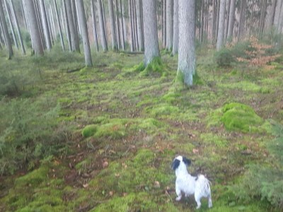 Apartment 4-Bett-Ferienhaus München, Bad/WC - Features photo 67