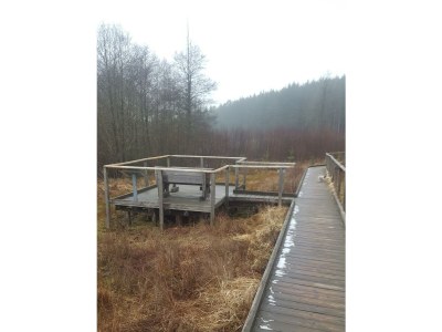 Apartment 4-Bett-Ferienhaus Hamburg, Bad/WC - Features photo 60