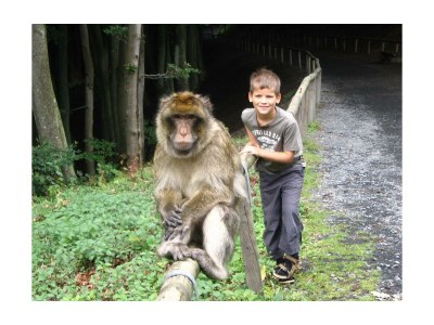 Apartment 2-Bett-Ferienwohnung - Nichtraucher - - Outdoor photo 40