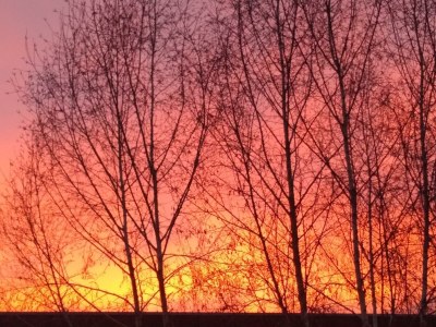 Apartment 2-Bett-Ferienwohnung - Nichtraucher - - Features photo 85