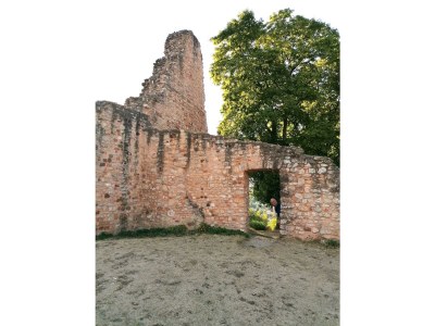 Apartment 2-Bett-Ferienwohnung - Nichtraucher - - Features photo 92