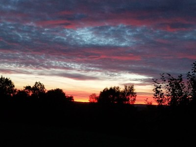 Apartment 2-Bett-Ferienw. Wald und Wiese Du/WC, Nichtraucher - Outdoor photo 19