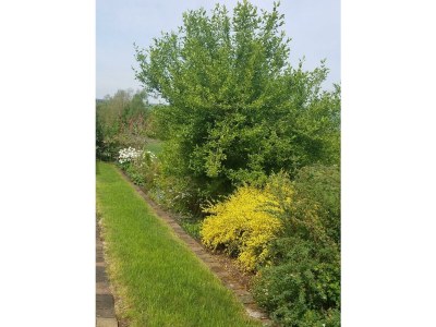 Apartment 2-Bett-Ferienw. Wald und Wiese Du/WC, Nichtraucher - Outdoor photo 21