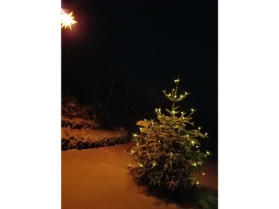 Apartment 2-Bett-Ferienw. Wald und Wiese Du/WC, Nichtraucher - Outdoor photo 28