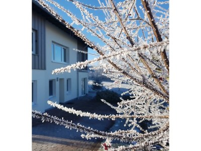 Apartment 2-Bett-Ferienw. Wald und Wiese Du/WC, Nichtraucher - Outdoor photo 29