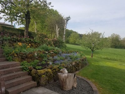 Apartment 2-Bett-Ferienw. Wald und Wiese Du/WC, Nichtraucher - Outdoor photo 31