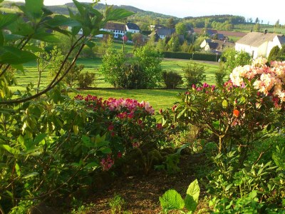 Apartment 2-Bett-Ferienw. Wald und Wiese Du/WC, Nichtraucher - Outdoor photo 36