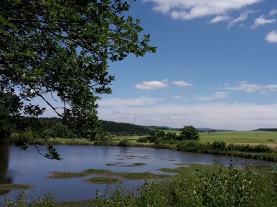 Apartment 4-Bett-Ferienwohnung Dusche/WC - Outdoor photo 16