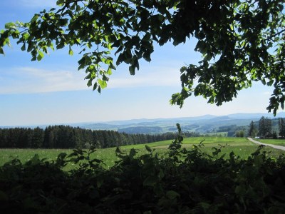 Apartment 4-Bett-Ferienwohnung Dusche/WC - Outdoor photo 17
