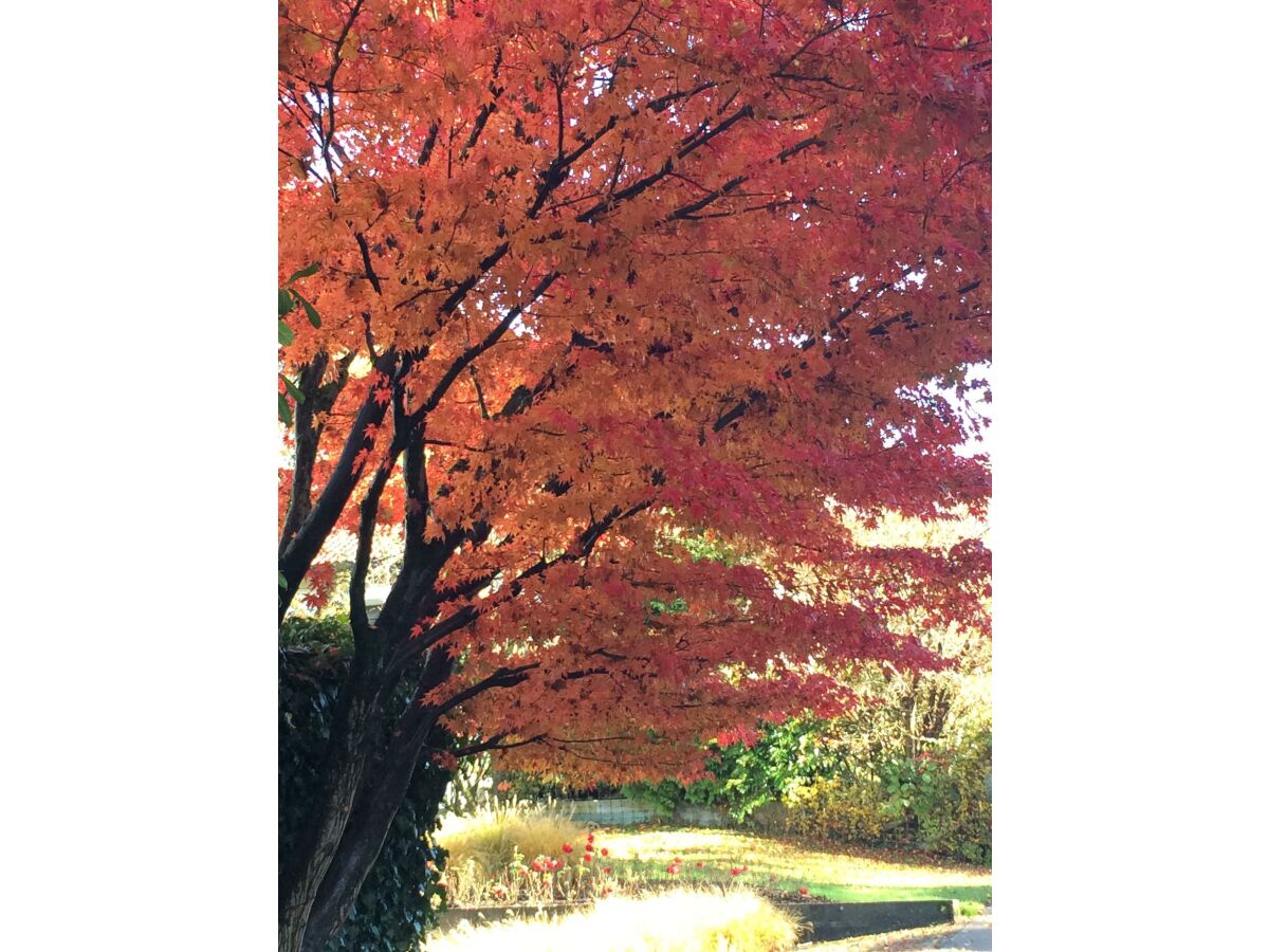 Apartment Ferienhaus mit 2 Bädern für bis zu 6 Personen - Outdoor photo 2