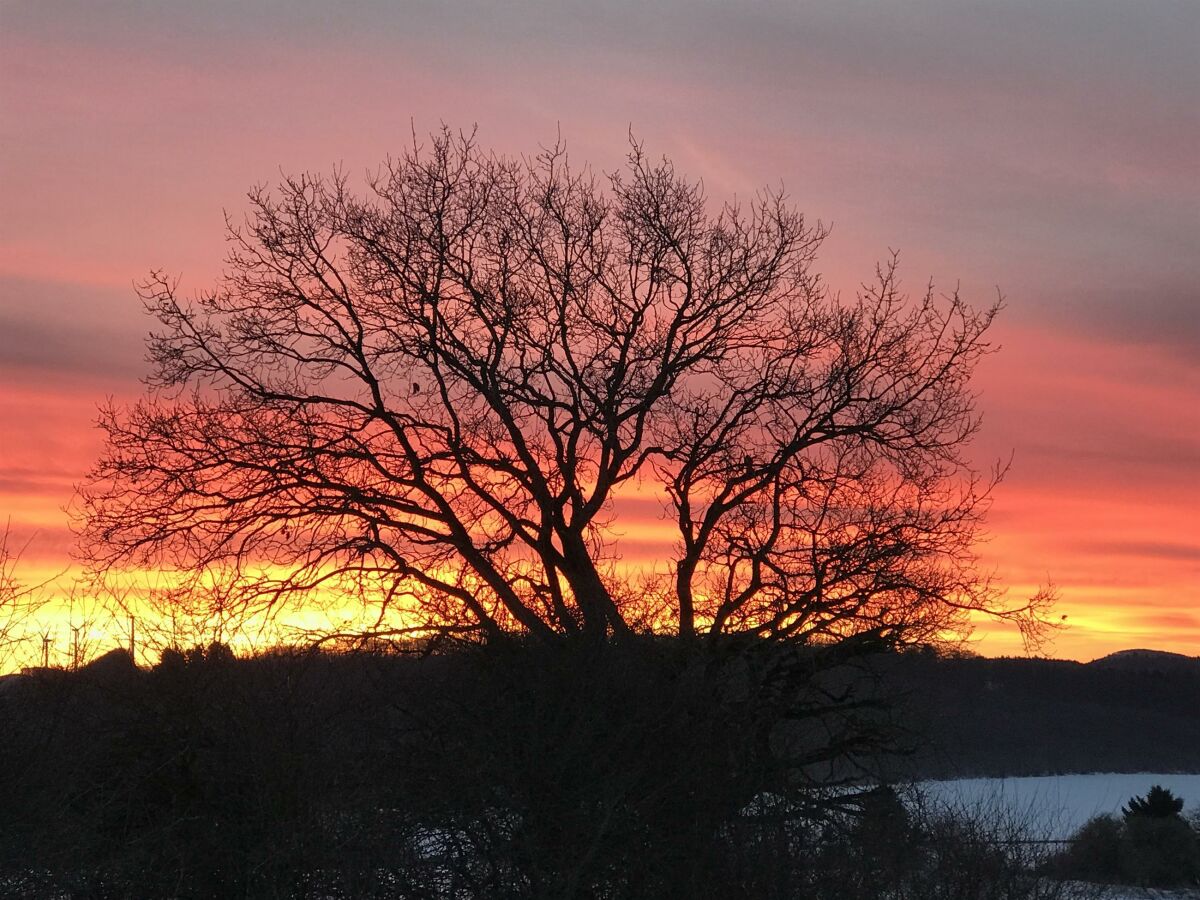 Apartment Ferienhaus mit 2 Bädern für bis zu 6 Personen - Outdoor photo 3