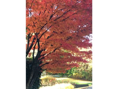 Apartment Ferienhaus mit 2 Bädern für bis zu 6 Personen - Outdoor photo 2