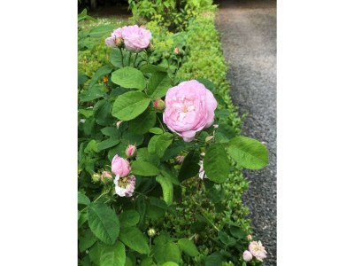 Apartment Ferienhaus mit 2 Bädern für bis zu 6 Personen - Outdoor photo 4