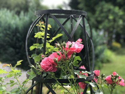 Apartment Ferienhaus mit 2 Bädern für bis zu 6 Personen - Outdoor photo 9