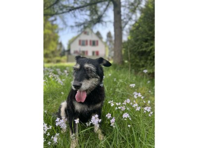 Apartment Ferienhaus mit 2 Bädern für bis zu 6 Personen - Outdoor photo 12