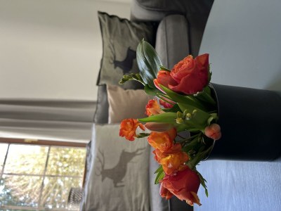 Apartment Ferienhaus mit 2 Bädern für bis zu 6 Personen - Outdoor photo 17