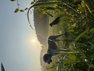 Apartment Ferienhaus mit 2 Bädern für bis zu 6 Personen - Outdoor photo 22