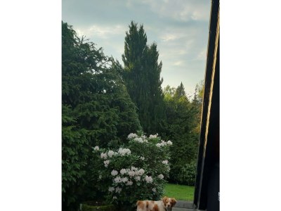 Apartment 4-Bett-Ferienhaus, Dusche/WC, Nichtraucher - Outdoor photo 7