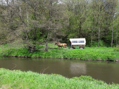 Apartment 4-Bett-Ferienhaus, Dusche/WC, Nichtraucher - Outdoor photo 9