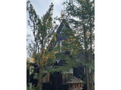 Apartment 4-Bett-Ferienhaus, Dusche/WC, Nichtraucher - Outdoor photo 14