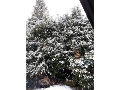 Apartment 4-Bett-Ferienhaus, Dusche/WC, Nichtraucher - Outdoor photo 17