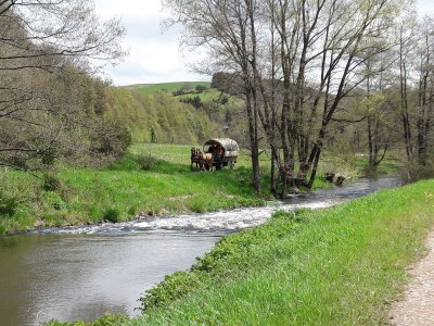 Apartment 4-Bett-Ferienhaus, Dusche/WC, Nichtraucher - Features photo 29