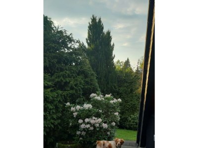 Apartment 4-Bett-Ferienhaus, Dusche/WC, Nichtraucher - Features photo 32