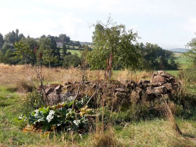 Apartment 5-Bett-Ferienhaus für 2-5 Personen - Outdoor photo 15