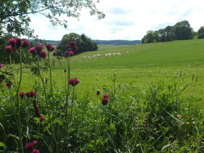 Apartment 5-Bett-Ferienhaus für 2-5 Personen - Outdoor photo 17