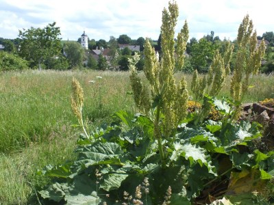 Apartment 5-Bett-Ferienhaus für 2-5 Personen - Outdoor photo 21