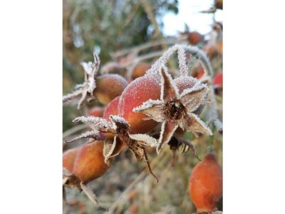 Apartment 4-Bett-Ferienwohnung Dusche/WC, 2 Schlafräume - Outdoor photo 35