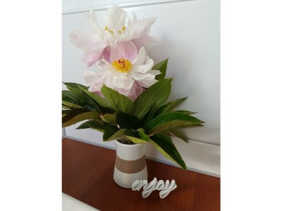 Apartment 4-Bett-Ferienwohnung Dusche/WC, 2 Schlafräume - Features photo 83