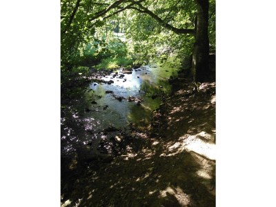 Apartment 2-Bett-Ferienwohnung - Nichtraucher - - Outdoor photo 11