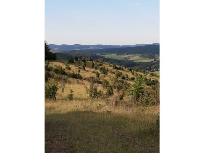 Apartment 2-Bett-Ferienwohnung - Nichtraucher - - Outdoor photo 12