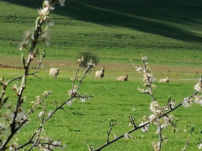 Apartment 2-Bett-Ferienwohnung - Nichtraucher - - Outdoor photo 15