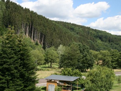 Apartment 2-Bettwohnung -Nichtraucher- - Features photo 23