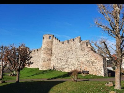 Apartment 2-Bett-Fewo Ferien am Tälchen für 1-4 Pers. - Outdoor photo 14
