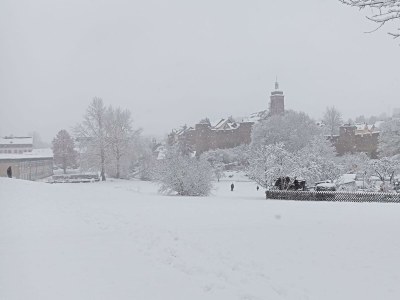 Apartment 2-Bett-Fewo Ferien am Tälchen für 1-4 Pers. - Outdoor photo 16