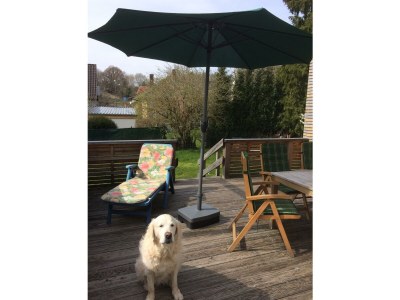 Apartment 6-Bett-Ferienhaus, 2xBad/WC, 3 Schlafräume in Hillesheim - Apartment