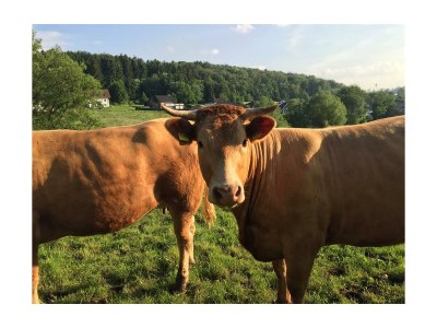 Apartment 2-Bett-Ferienhaus mediterrana - Outdoor photo 25