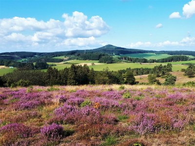 Apartment 2-Bett-Ferienwohnung Dorfblick - Outdoor photo 20