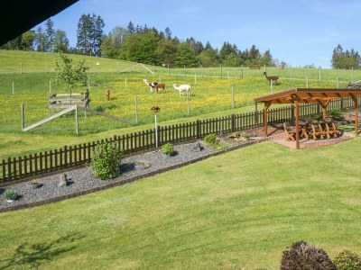 Apartment 2-Bett-Ferienwohnung "Nürburg" bis 3 Pers. - Features photo 15