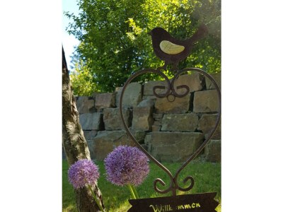 Apartment 2-Bett-Ferienwohnung Dusche/WC, bis 4 Pers. - Outdoor photo 8