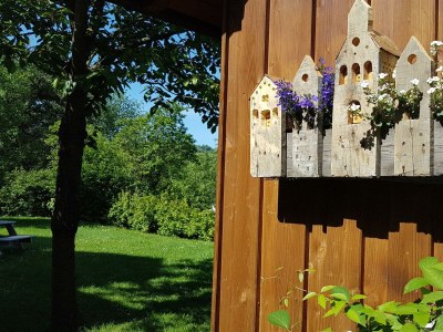 Apartment 2-Bett-Ferienwohnung Dusche/WC, bis 4 Pers. - Outdoor photo 10