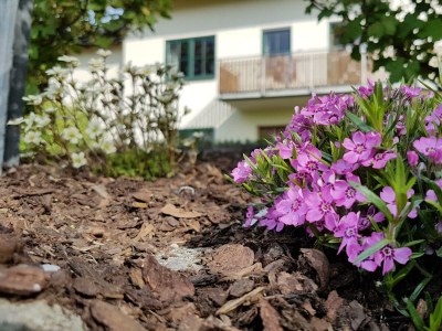 Apartment 2-Bett-Ferienwohnung Dusche/WC, bis 4 Pers. - Outdoor photo 20