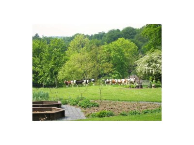 Apartment 2-Bett-Ferienwohnung mit Galerie - Outdoor photo 11