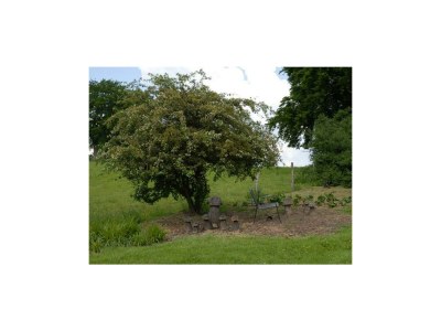 Apartment 2-Bett-Ferienwohnung mit Galerie - Outdoor photo 12