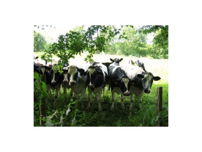 Apartment 2-Bett-Ferienwohnung mit Galerie - Outdoor photo 14